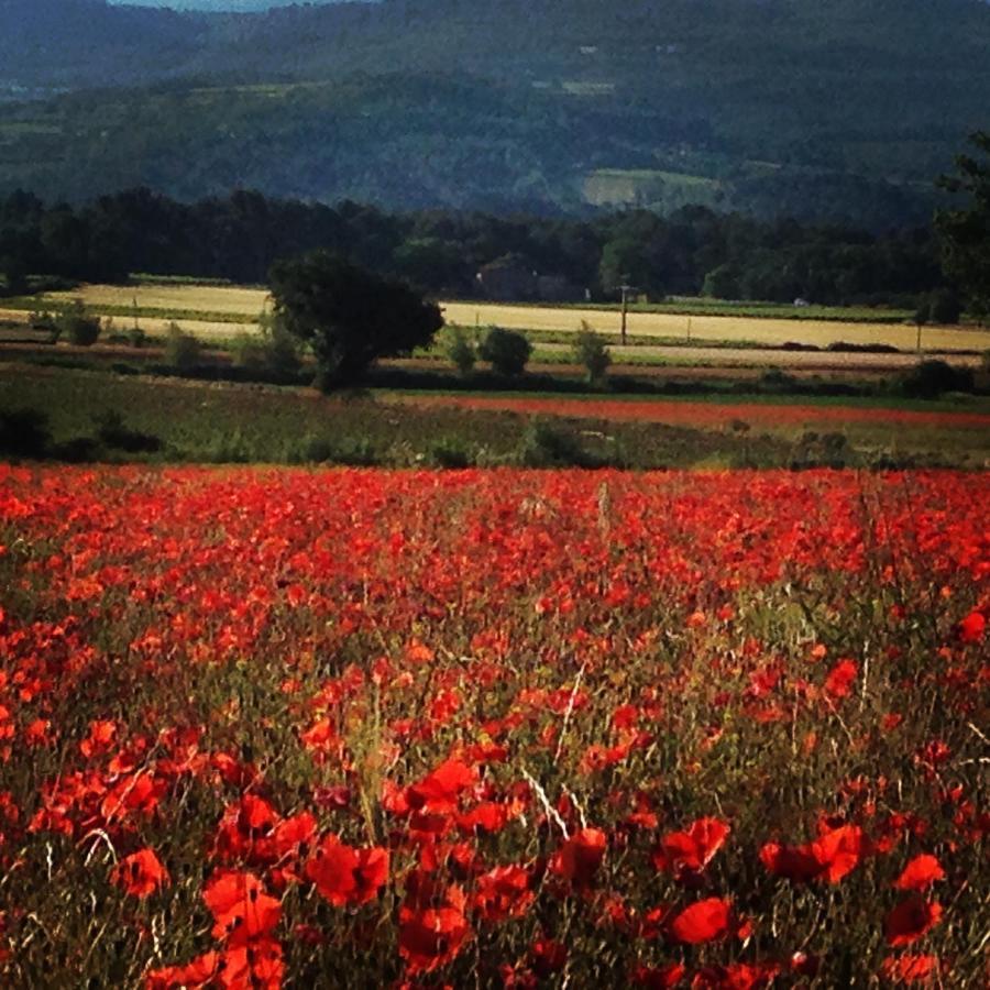 Le Mas De La Glycine Roussillon en Isere Zewnętrze zdjęcie